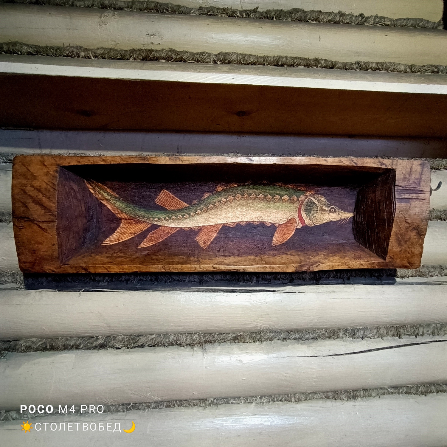 Корыто-панно "Рыба стерлядь" старинное деревянное